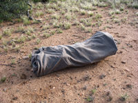 Aunt Edie, bush camp nr Ongeva Creek